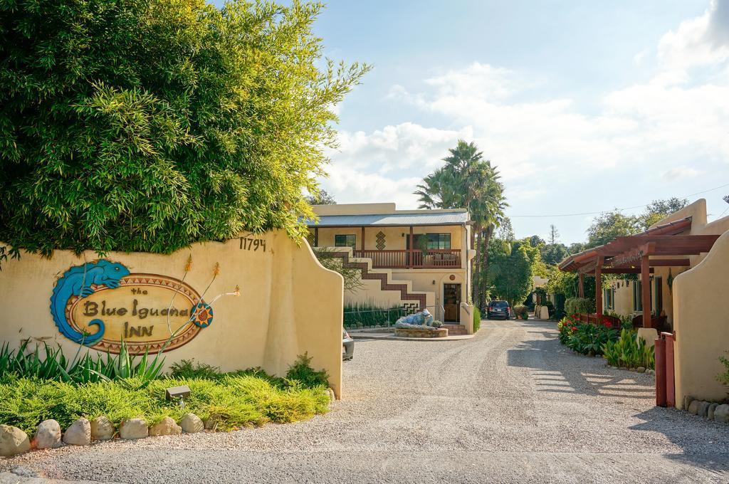 Blue Iguana Inn Ojai Eksteriør bilde